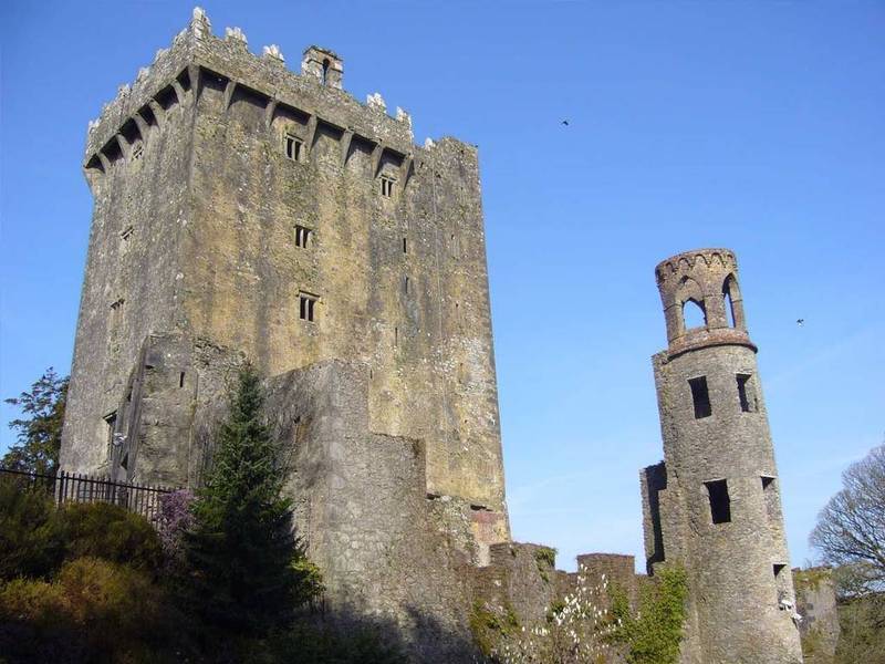Self Catering Lodges At The Blarney Hotel & Golf Resort 외부 사진